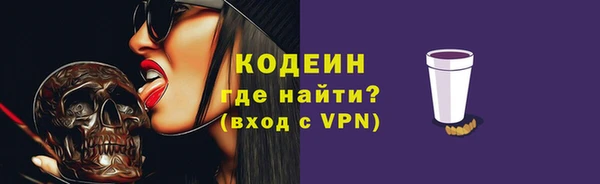 хмурый Новозыбков
