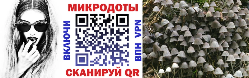 Псилоцибиновые грибы MAGIC MUSHROOMS  купить  цена  Киренск 